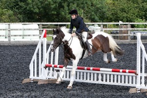 Class 3 -  Fences not above 2'3